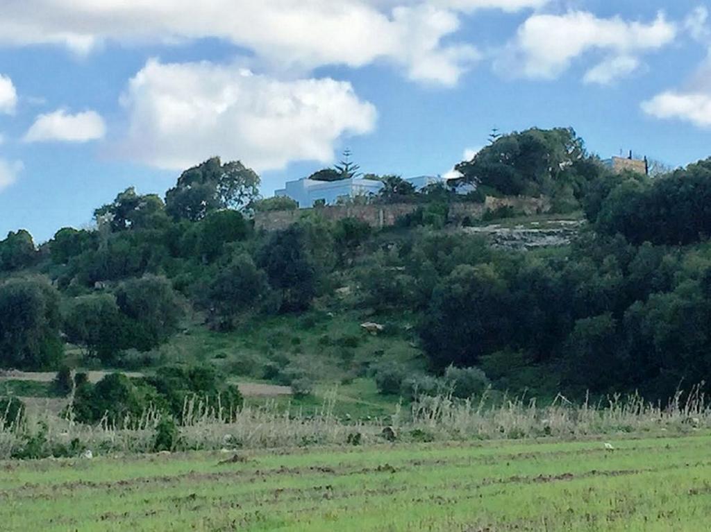Dar Duccali Oualidia Bagian luar foto